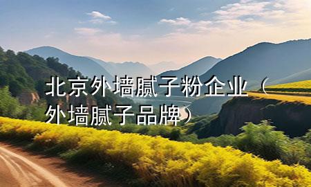 北京外墻膩子粉企業(yè)（外墻膩子 品牌）