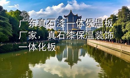廣東真石漆一體保溫板廠家，真石漆保溫裝飾一體化板