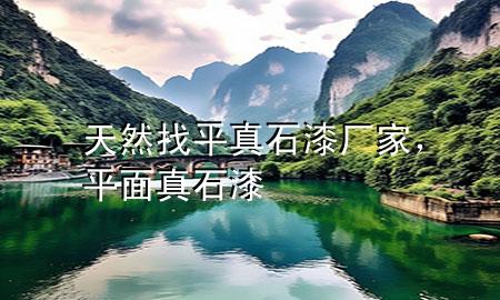 天然找平真石漆廠家，平面真石漆