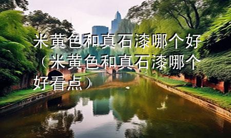 米黃色和真石漆哪個(gè)好（米黃色和真石漆哪個(gè)好看點(diǎn)）