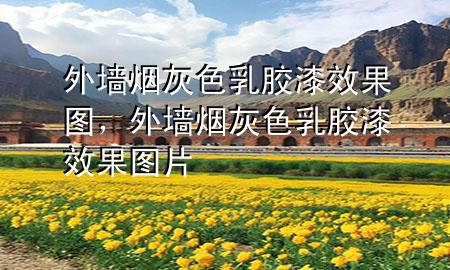 外墻煙灰色乳膠漆效果圖，外墻煙灰色乳膠漆效果圖片