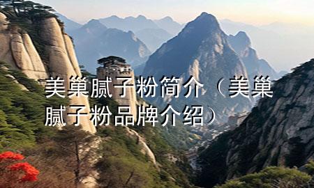 美巢膩?zhàn)臃酆喗椋莱材佔(zhàn)臃燮放平榻B）