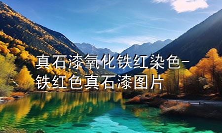 真石漆氧化鐵紅染色-鐵紅色真石漆圖片