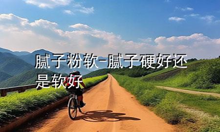 膩?zhàn)臃?軟-膩?zhàn)佑埠眠€是軟好