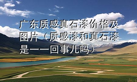 廣東質感真石漆價格及圖片（質感漆和真石漆是一一回事兒嗎）