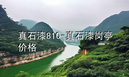 真石漆810-真石漆崗?fù)r格