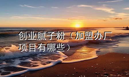 創(chuàng)業(yè)膩子粉（加盟辦廠項目有哪些）