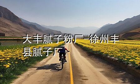 大豐膩?zhàn)臃蹚S-徐州豐縣膩?zhàn)訌S