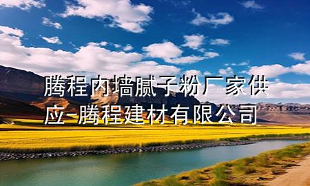 騰程內(nèi)墻膩?zhàn)臃蹚S家供應(yīng)-騰程建材有限公司