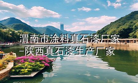 渭南市涂料真石漆廠家-陜西真石漆生產(chǎn)廠家