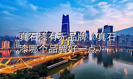 真石漆有無品牌（真石漆哪個(gè)品牌好一點(diǎn)）