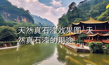 天然真石漆效果圖-天然真石漆的用途