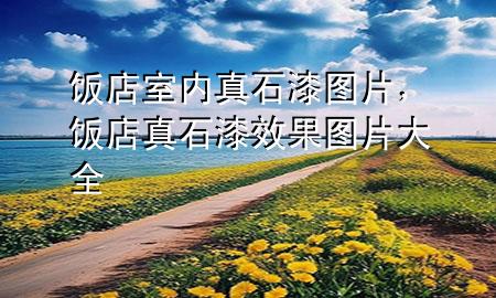 飯店室內(nèi)真石漆圖片，飯店真石漆效果圖片大全