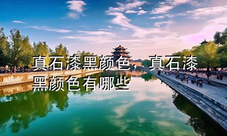 真石漆黑顏色，真石漆黑顏色有哪些