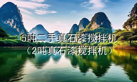 5噸二手真石漆攪拌機（2噸真石漆攪拌機）