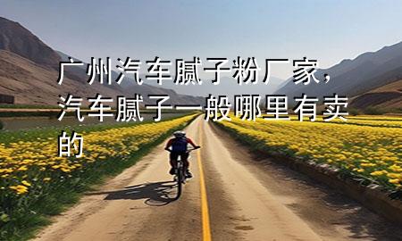 廣州汽車膩子粉廠家，汽車膩子一般哪里有賣的