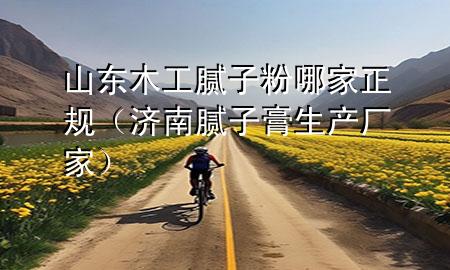 山東木工膩子粉哪家正規(guī)（濟南膩子膏生產(chǎn)廠家）