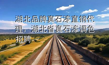 湖北品牌真石漆直銷代理，湖北省真石漆調色招聘