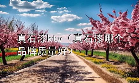 真石漆ktv（真石漆哪個品牌質(zhì)量好）