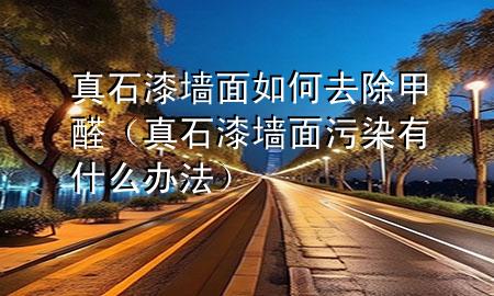 真石漆墻面如何去除甲醛（真石漆墻面污染有什么辦法）