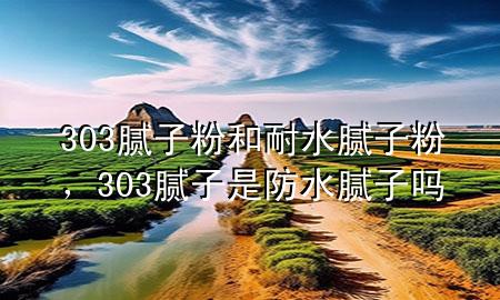 303膩子粉和耐水膩子粉，303膩子是防水膩子嗎