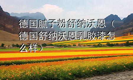德國(guó)膩?zhàn)臃凼婕{沃恩（德國(guó)舒納沃恩乳膠漆怎么樣）
