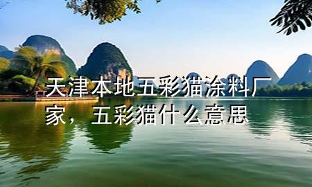 天津本地五彩貓涂料廠家，五彩貓什么意思