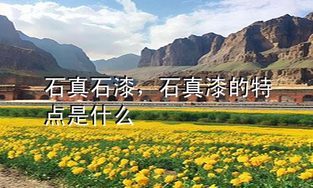 石真石漆，石真漆的特點(diǎn)是什么