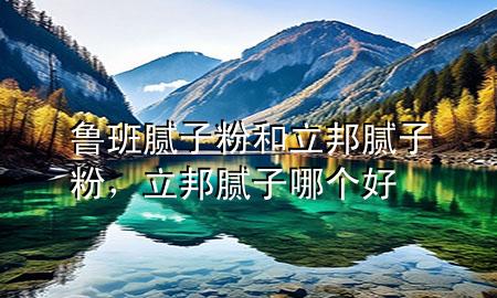 魯班膩?zhàn)臃酆土钅佔(zhàn)臃?，立邦膩?zhàn)幽膫€(gè)好