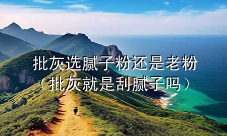 批灰選膩子粉還是老粉（批灰就是刮膩子嗎）