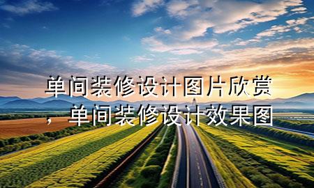 單間裝修設(shè)計(jì)圖片欣賞，單間裝修設(shè)計(jì)效果圖