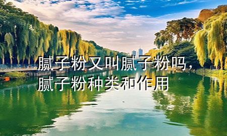 膩?zhàn)臃塾纸心佔(zhàn)臃蹎?，膩?zhàn)臃鄯N類和作用