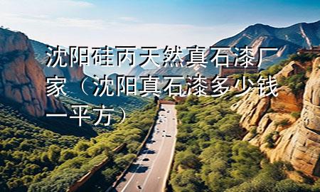 沈陽硅丙天然真石漆廠家（沈陽真石漆多少錢一平方）