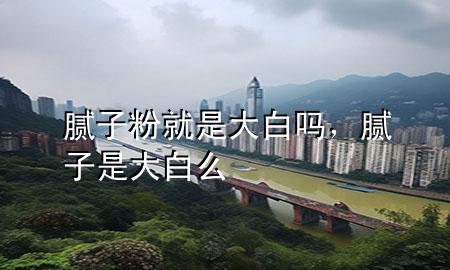 膩子粉就是大白嗎，膩子是大白么