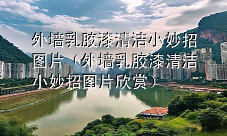 外墻乳膠漆清潔小妙招圖片（外墻乳膠漆清潔小妙招圖片欣賞）