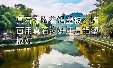 真石漆附著鋁塑板，墻面用真石漆好還是鋁塑板好