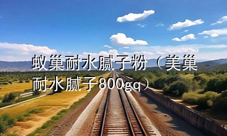 蟻巢耐水膩?zhàn)臃郏莱材退佔(zhàn)?00gq）