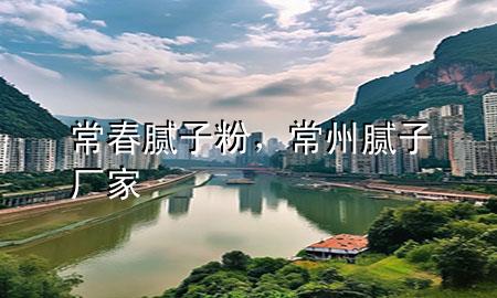 常春膩子粉，常州膩子廠家