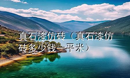 真石漆仿磚（真石漆仿磚多少錢一平米）