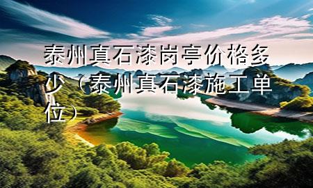 泰州真石漆崗?fù)r格多少（泰州真石漆施工單位）