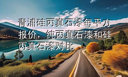 青浦硅丙真石漆每平方報(bào)價(jià)，純丙真石漆和硅丙真石漆對比