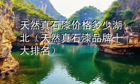 天然真石漆價(jià)格多少湖北（天然真石漆品牌十大排名）