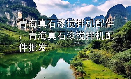 青海真石漆攪拌機(jī)配件，青海真石漆攪拌機(jī)配件批發(fā)