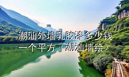 潮汕外墻乳膠漆多少錢一個平方（潮汕墻繪）