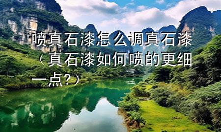 噴真石漆怎么調(diào)真石漆（真石漆如何噴的更細(xì)一點(diǎn)?）