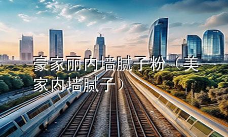 豪家麗內(nèi)墻膩子粉（美家內(nèi)墻膩子）