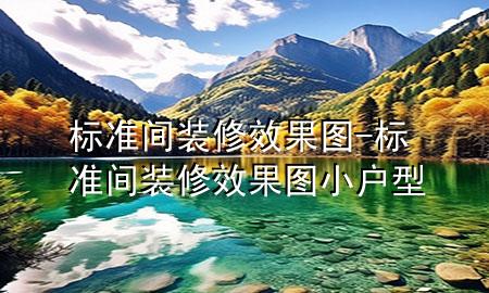標(biāo)準(zhǔn)間裝修效果圖-標(biāo)準(zhǔn)間裝修效果圖 小戶型