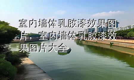 室內(nèi)墻體乳膠漆效果圖片，室內(nèi)墻體乳膠漆效果圖片大全