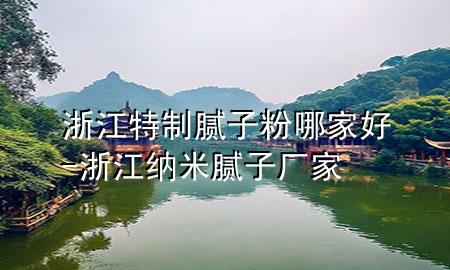 浙江特制膩子粉哪家好-浙江納米膩子廠家