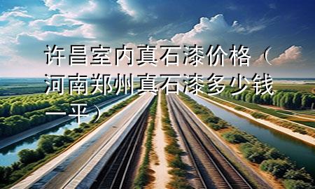 許昌室內真石漆價格（河南鄭州真石漆多少錢一平）